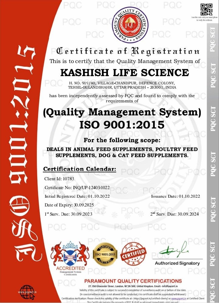 ISO registration certificate